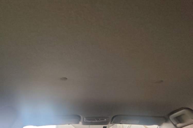 Used Toyota Vios FS 2019 1.5L CVT FENGSHANG Edition Headliner