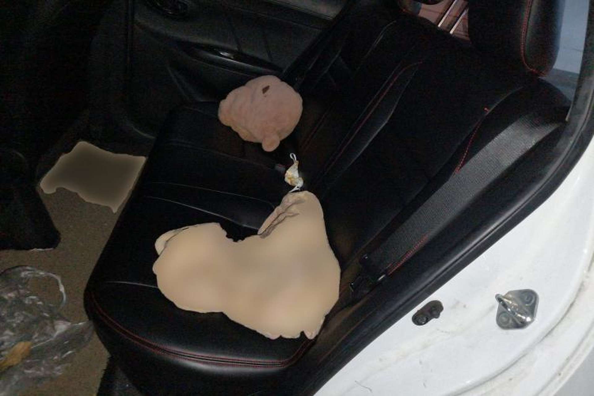 Used Toyota Vios FS 2019 1.5L CVT Fengchi Edition Left Rear Seat