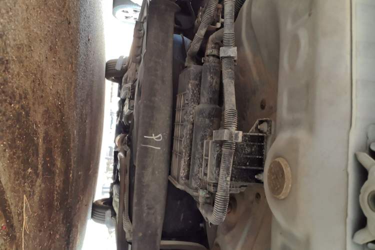 Used Toyota Vios FS 2021 1.5L CVT Fengchi Edition Chassis Rear