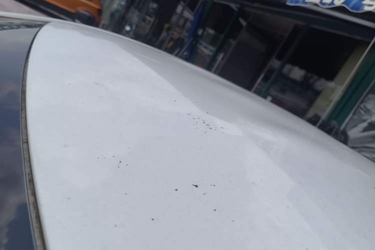 Used Toyota Vios FS 2021 1.5L CVT Fengchi Edition Roof
