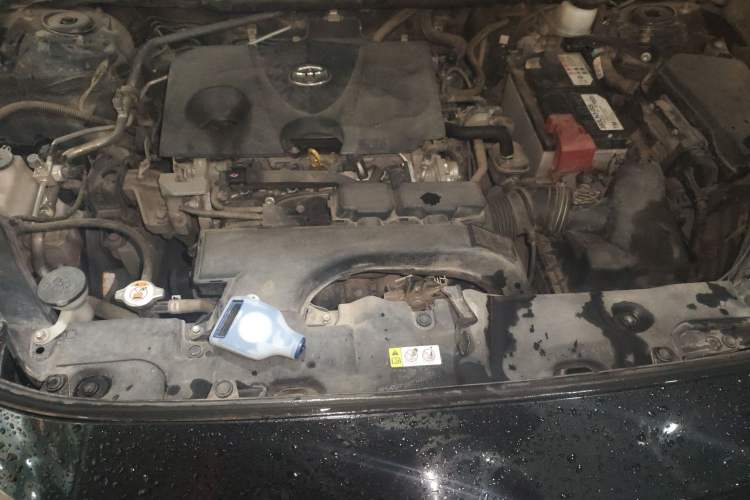 Used Toyota Wildlander 2020 2.0L CVT Two-Wheel Drive Leading Edition Engine Bay