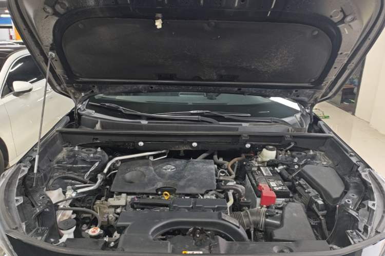 Used Toyota Wildlander 2020 2.0L CVT Two-Wheel Drive Luxury Edition Engine Bay