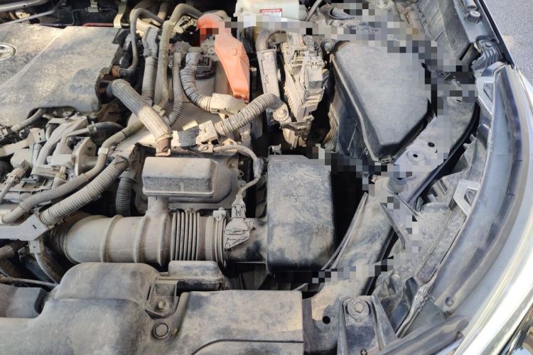 Used Toyota Wildlander 2020 Dual-Motor 2.5L E-CVT Four-Wheel Drive Luxury Edition Engine Bay Left