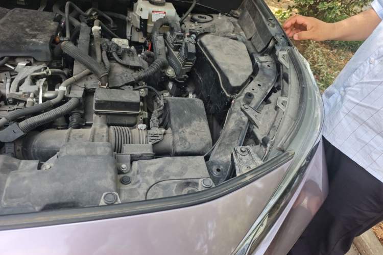 Used Toyota Wildlander 2020 Dual-Engine 2.5L E-CVT Two-Wheel Drive Prestige Edition Engine Bay Left