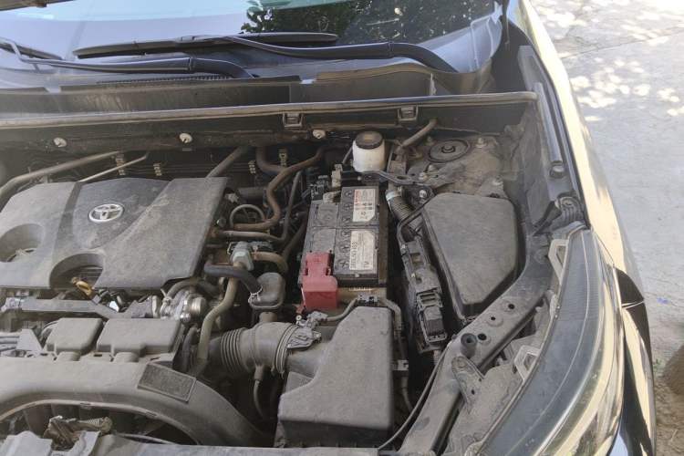 Used Toyota Wildlander 2020 2.0L CVT Two-Wheel Drive Leading Edition Engine Bay Left