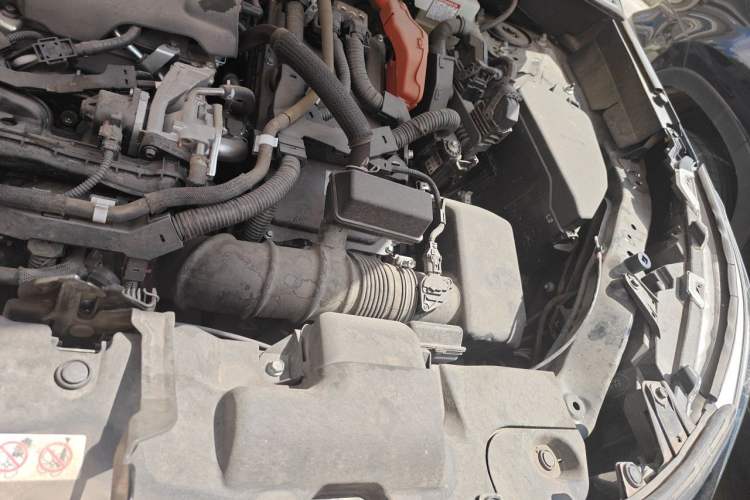 Used Toyota Wildlander 2020 Dual-Motor 2.5L E-CVT Four-Wheel Drive Luxury Edition Engine Bay Left