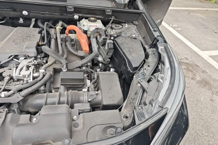 Used Toyota Wildlander 2020 Dual-Motor 2.5L E-CVT Four-Wheel Drive Luxury Edition Engine Bay Left