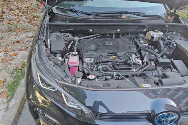Used Toyota Wildlander 2020 Dual-Engine 2.5L E-CVT Two-Wheel Drive Luxury Edition Engine Bay Right