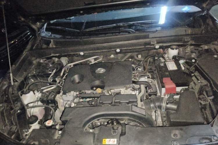 Used Toyota Wildlander 2020 2.0L CVT Two-Wheel Drive Luxury Edition Engine Bay