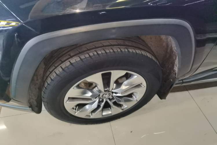 Used Toyota Wildlander 2020 2.0L CVT 4x4 Luxury Edition Exterior 4