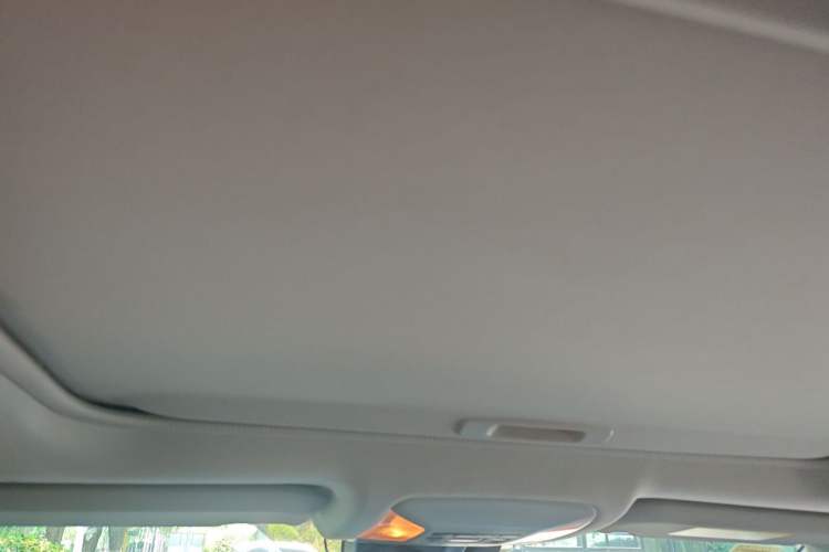 Used Toyota Wildlander 2020 Dual-Engine 2.5L E-CVT Two-Wheel Drive Prestige Edition Headliner