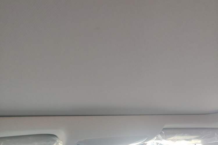Used Toyota Wildlander 2020 2.0L CVT 4x4 Tech Edition Headliner