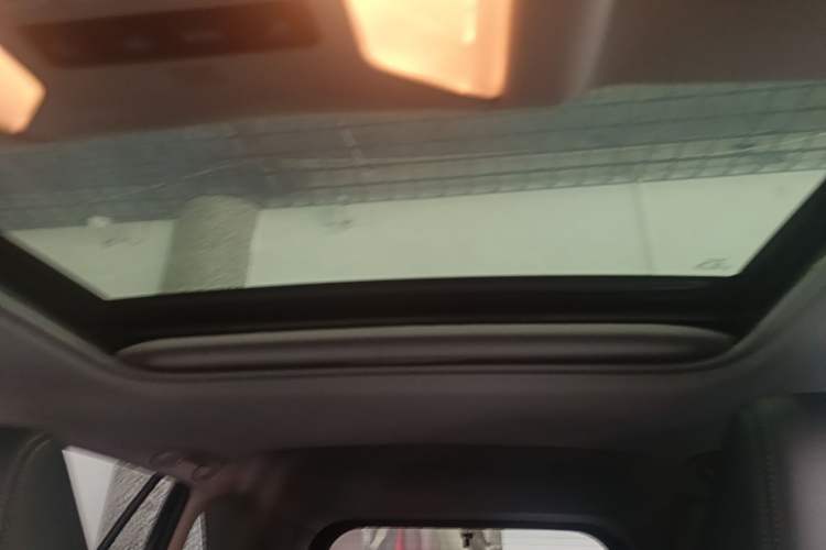 Used Toyota Wildlander 2020 2.0L CVT 4x4 Luxury Edition Headliner