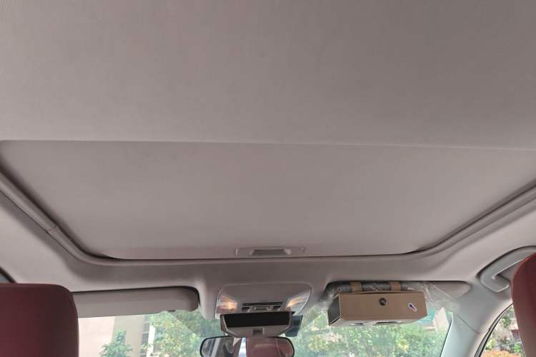 Used Toyota Wildlander 2020 Dual-Motor 2.5L E-CVT Four-Wheel Drive Luxury Edition Headliner