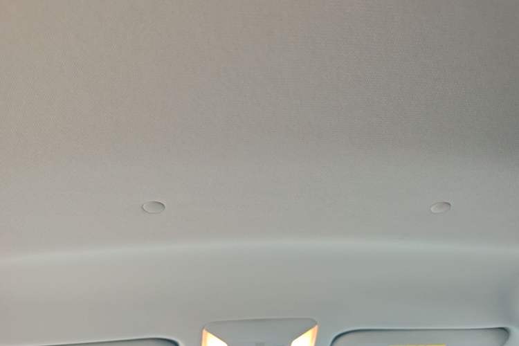 Used Toyota Wildlander 2020 2.0L CVT Two-Wheel Drive Leading Edition Headliner