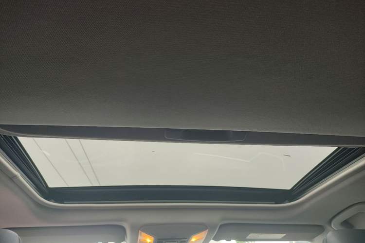 Used Toyota Wildlander 2020 2.0L CVT Two-Wheel Drive Luxury Edition Headliner