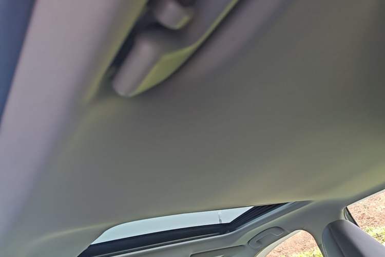 Used Toyota Wildlander 2020 Dual-Motor 2.5L E-CVT Four-Wheel Drive Luxury Edition Headliner