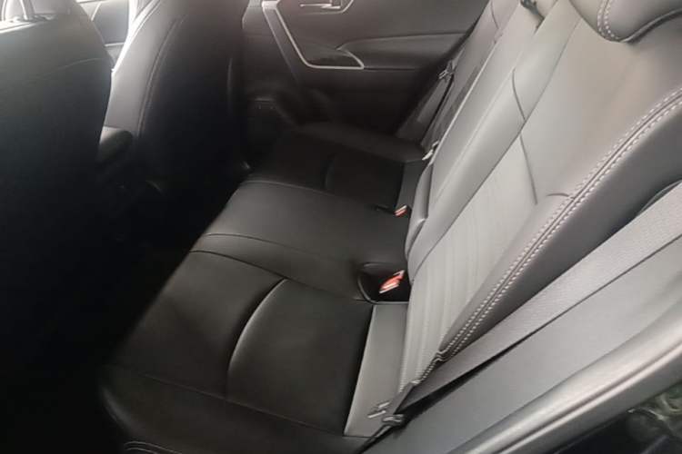 Used Toyota Wildlander 2020 2.0L CVT Two-Wheel Drive Luxury Edition Left Rear Seat