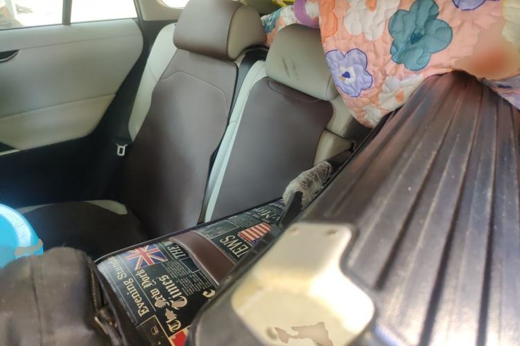 Used Toyota Wildlander 2020 Dual-Motor 2.5L E-CVT Four-Wheel Drive Luxury Edition Left Rear Seat