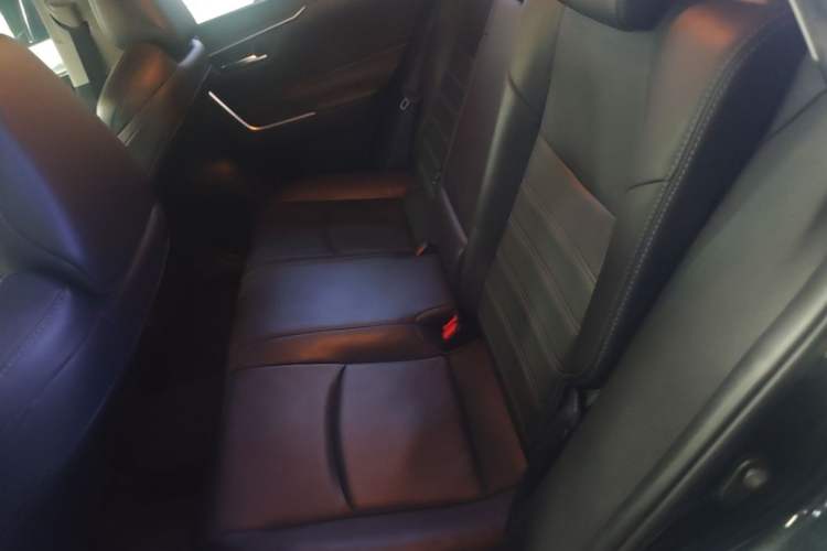 Used Toyota Wildlander 2020 Dual-Engine 2.5L E-CVT Two-Wheel Drive Luxury Edition Left Rear Seat