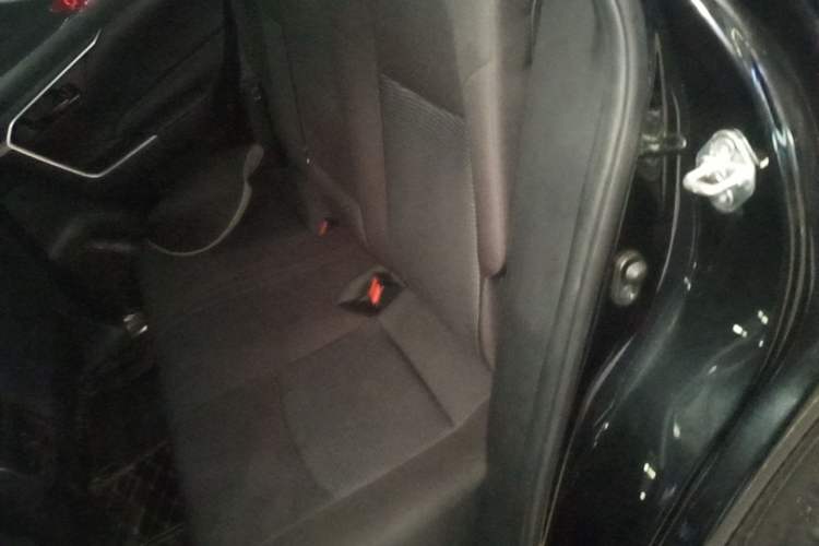 Used Toyota Wildlander 2020 2.0L CVT Two-Wheel Drive Leading Edition Left Rear Seat