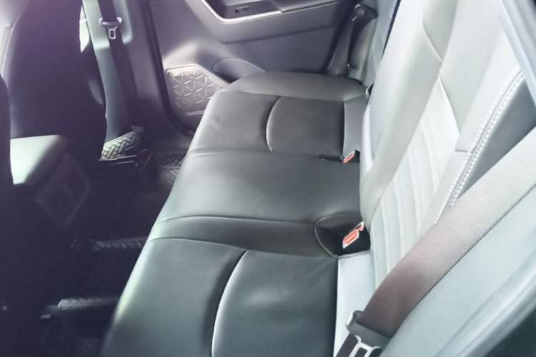 Used Toyota Wildlander 2020 2.0L CVT Two-Wheel Drive Luxury Edition Left Rear Seat