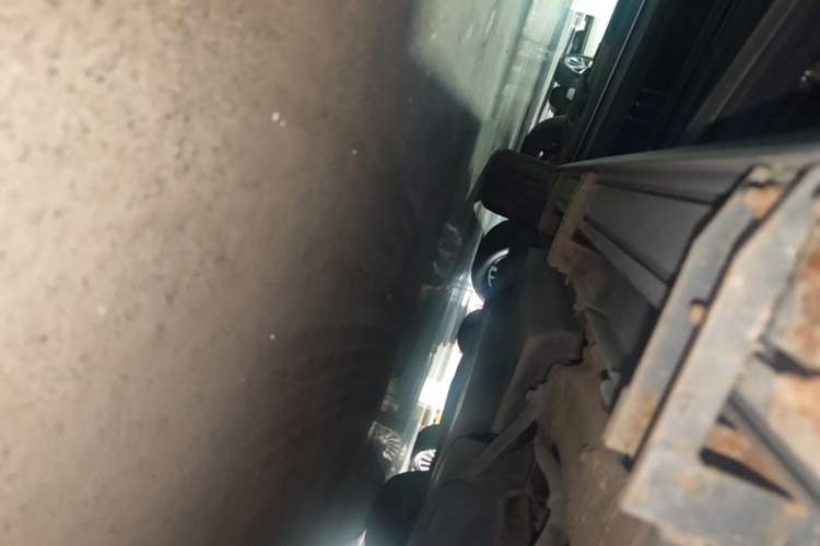 Used Toyota Wildlander 2020 Dual-Engine 2.5L E-CVT Two-Wheel Drive Luxury Edition Left Side Sill