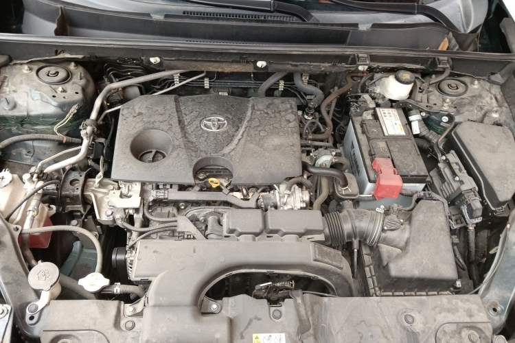 Used Toyota Wildlander 2020 2.0L CVT Two-Wheel Drive Luxury Edition Engine Bay
