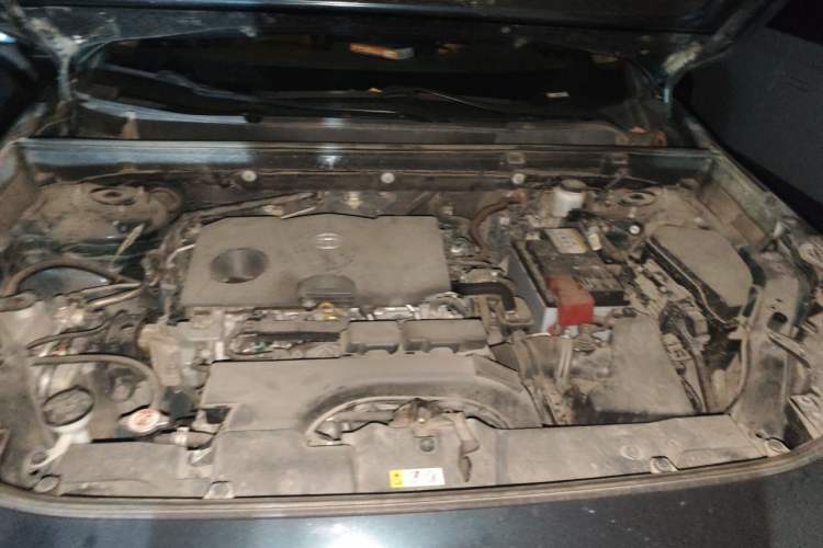 Used Toyota Wildlander 2020 2.0L CVT 4x4 Luxury Edition Engine Bay
