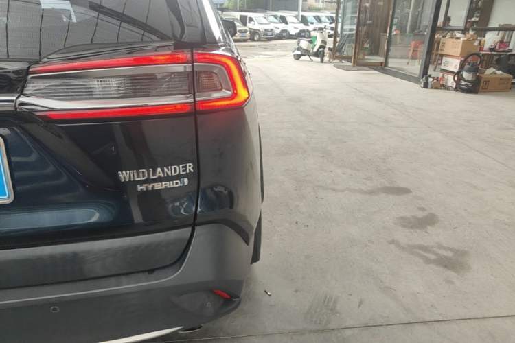 Used Toyota Wildlander 2020 Dual-Motor 2.5L E-CVT Four-Wheel Drive Luxury Edition Exterior 3