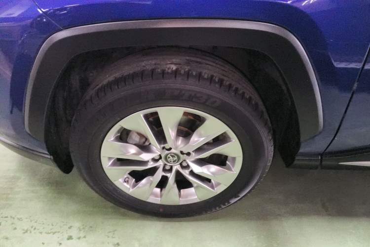 Used Toyota Wildlander 2020 2.0L CVT Two-Wheel Drive Luxury Edition Exterior 4