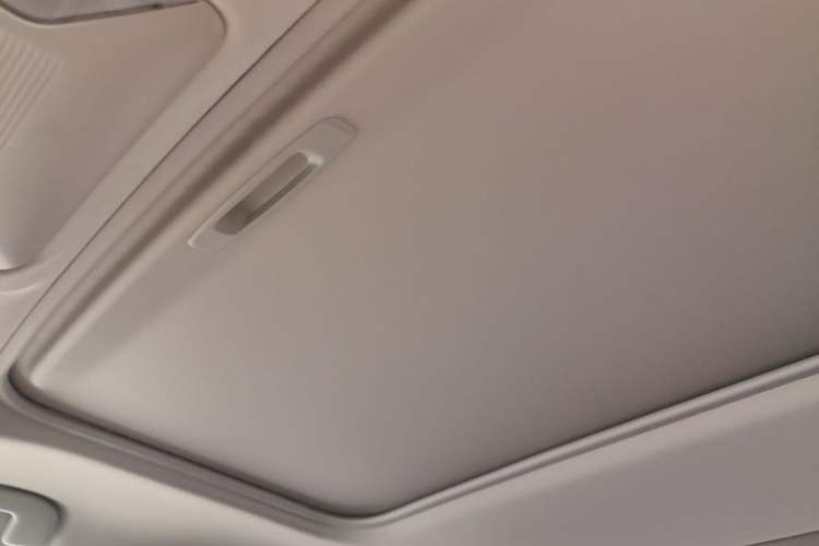 Used Toyota Wildlander 2020 Dual-Motor 2.5L E-CVT Four-Wheel Drive Luxury Edition Headliner