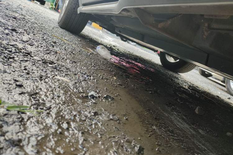Used Toyota Wildlander 2020 2.0L CVT 4x4 Luxury Edition Left Side Sill