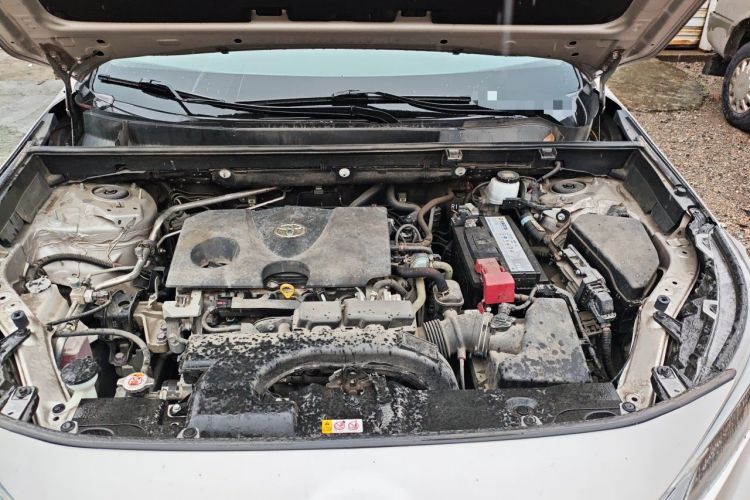 Used Toyota Wildlander 2020 2.0L CVT Two-Wheel Drive Luxury Edition Engine Bay
