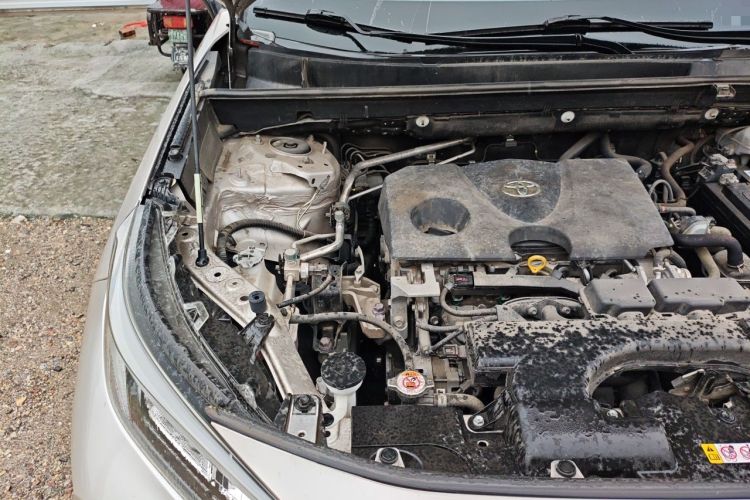 Used Toyota Wildlander 2020 2.0L CVT Two-Wheel Drive Luxury Edition Engine Bay Right