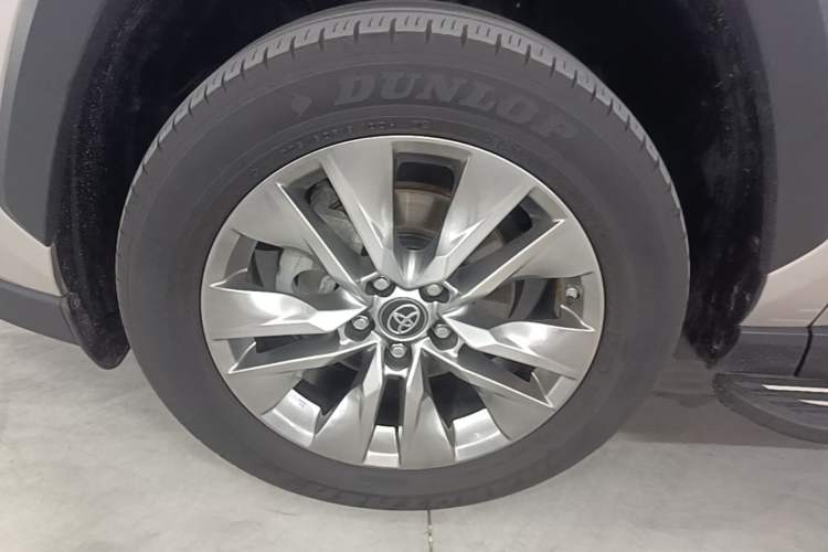 Used Toyota Wildlander 2020 2.0L CVT Two-Wheel Drive Luxury Edition Exterior 4
