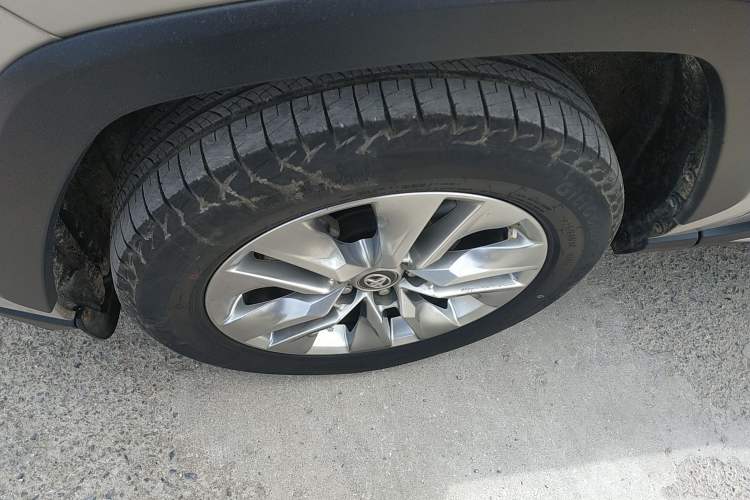 Used Toyota Wildlander 2020 2.0L CVT Two-Wheel Drive Luxury Edition Exterior 4