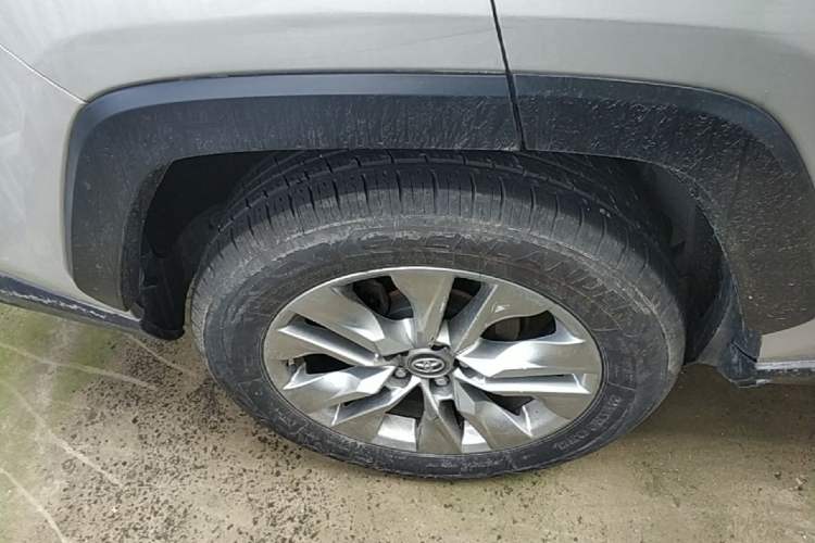 Used Toyota Wildlander 2020 2.0L CVT 4x4 Luxury Edition Exterior 5