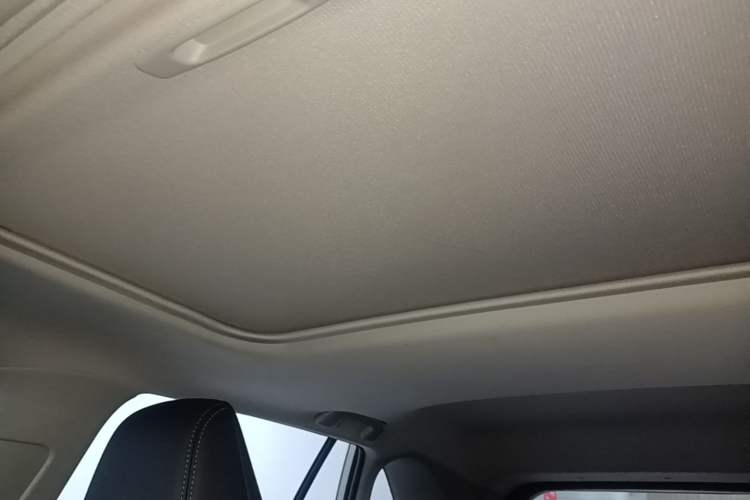 Used Toyota Wildlander 2020 2.0L CVT Two-Wheel Drive Luxury Edition Headliner