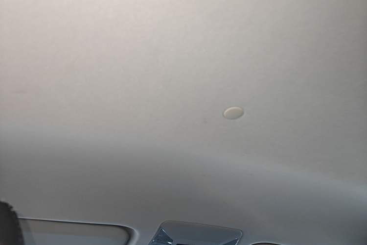 Used Toyota Wildlander 2020 2.0L CVT Two-Wheel Drive Leading Edition Headliner