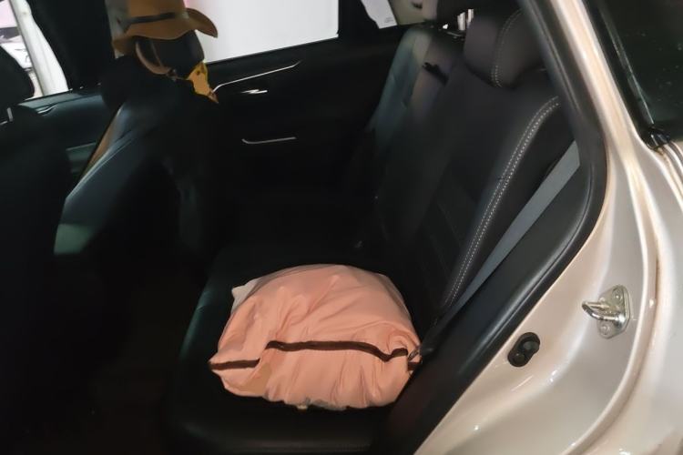 Used Toyota Wildlander 2020 2.0L CVT Two-Wheel Drive Luxury Edition Left Rear Seat