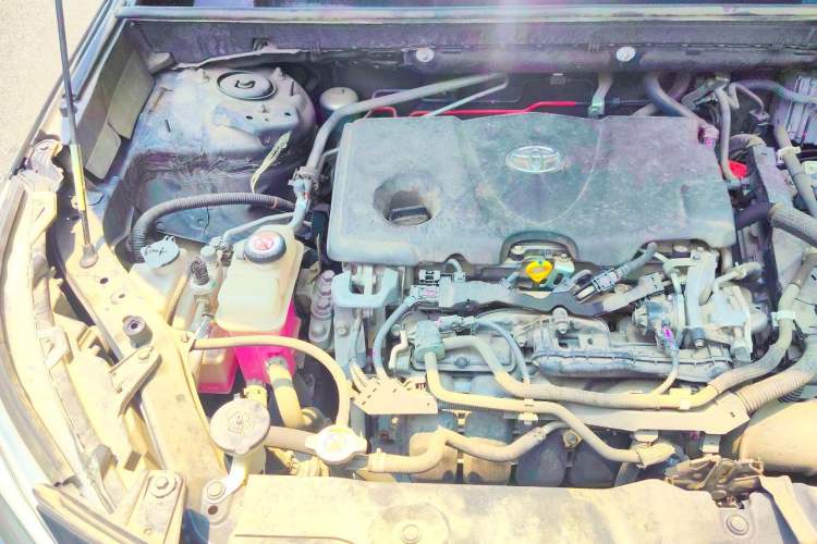 Used Toyota Wildlander 2020 Dual-Engine 2.5L E-CVT Two-Wheel Drive Luxury Edition Engine Bay Right