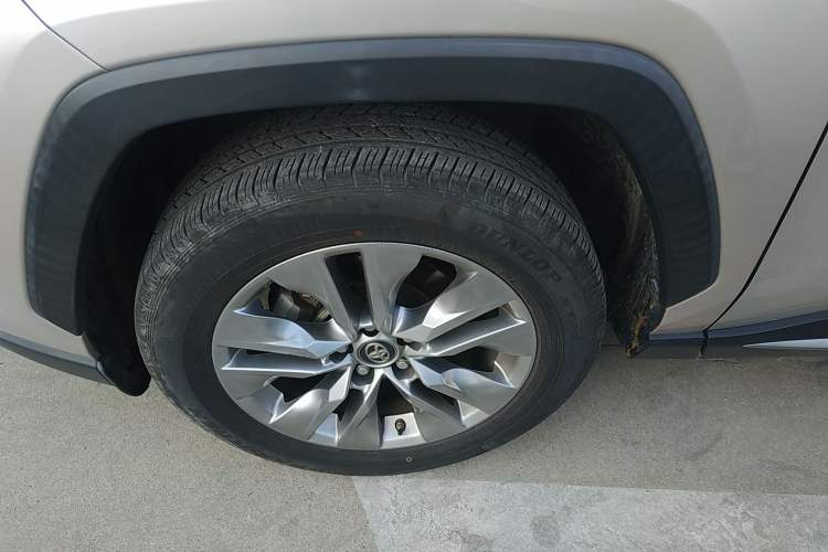 Used Toyota Wildlander 2020 2.0L CVT Two-Wheel Drive Luxury Edition Exterior 7