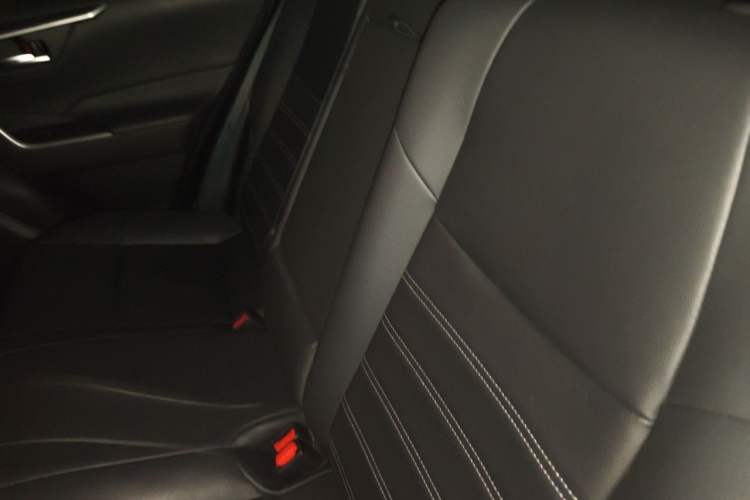 Used Toyota Wildlander 2020 Dual-Motor 2.5L E-CVT Four-Wheel Drive Luxury Edition Left Rear Seat
