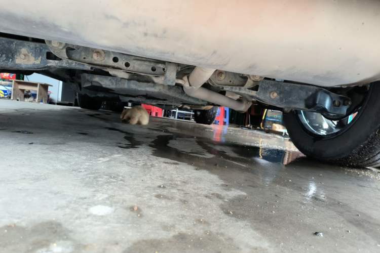 Used Toyota Wildlander 2020 Dual-Motor 2.5L E-CVT Four-Wheel Drive Luxury Edition Chassis Rear