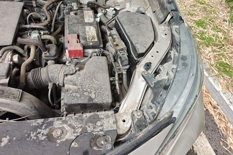Used Toyota Wildlander 2020 2.0L CVT Two-Wheel Drive Leading Edition Engine Bay Left