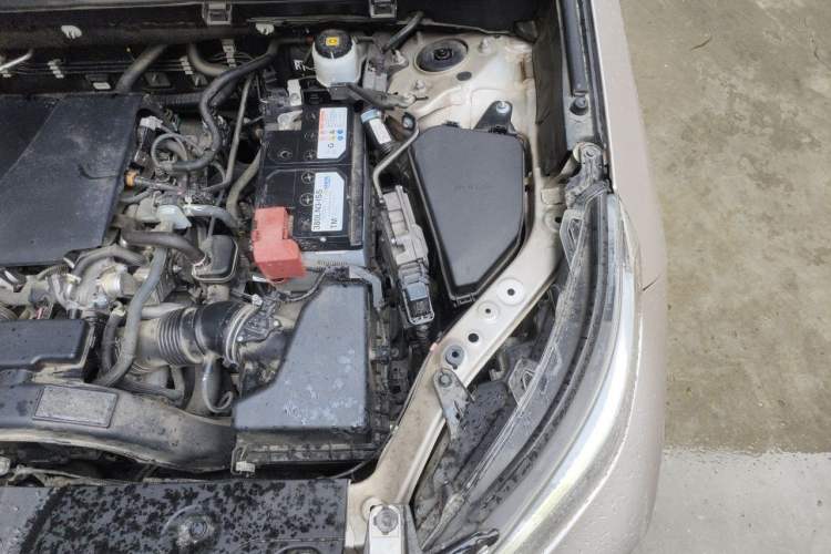 Used Toyota Wildlander 2020 2.0L CVT 4x4 Luxury Edition Engine Bay Left