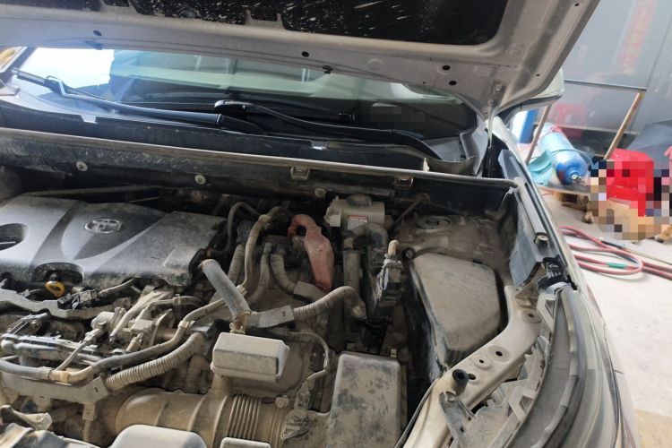 Used Toyota Wildlander 2020 Dual-Motor 2.5L E-CVT Four-Wheel Drive Luxury Edition Engine Bay Left