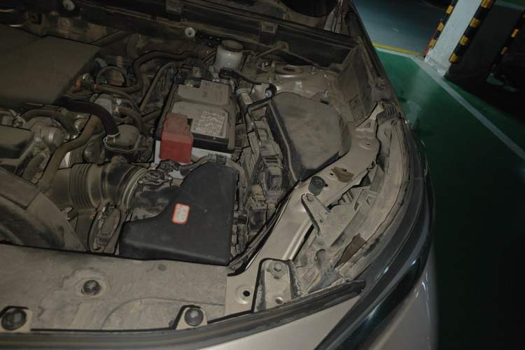 Used Toyota Wildlander 2020 2.0L CVT 4x4 Luxury Edition Engine Bay Left