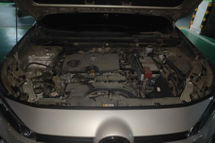 Used Toyota Wildlander 2020 2.0L CVT 4x4 Luxury Edition Engine Bay